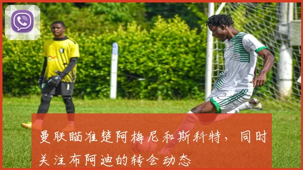 曼联瞄准楚阿梅尼和斯科特，同时关注布阿迪的转会动态